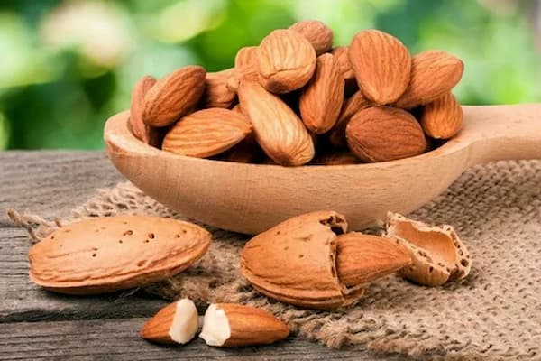 تصویر 3 از فروش بادام سنگی شور + قیمت خرید به صرفه